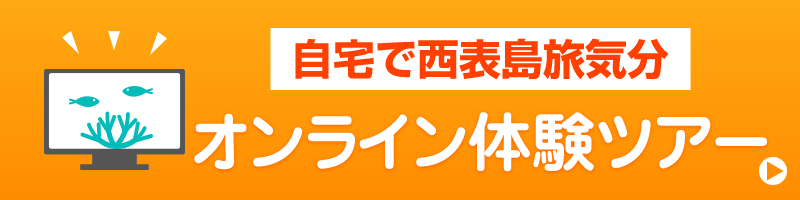 自宅で西表島旅気分!オンライン体験ツアー Iriomote Island Online Tour
